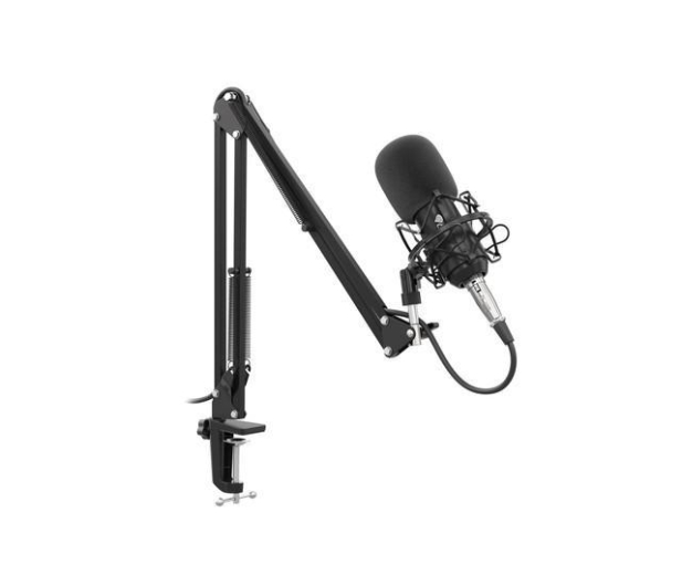 Genesis Mikrofon Radium 300 Studyjny XLR - 1077318 - zdjęcie 4